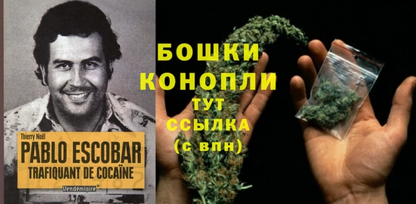 ПСИЛОЦИБИНОВЫЕ ГРИБЫ Новокубанск