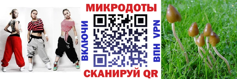 Галлюциногенные грибы Cubensis  Апшеронск 